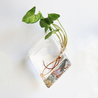 Aquarium Container Flower Planter Pots Home Garden Decoration