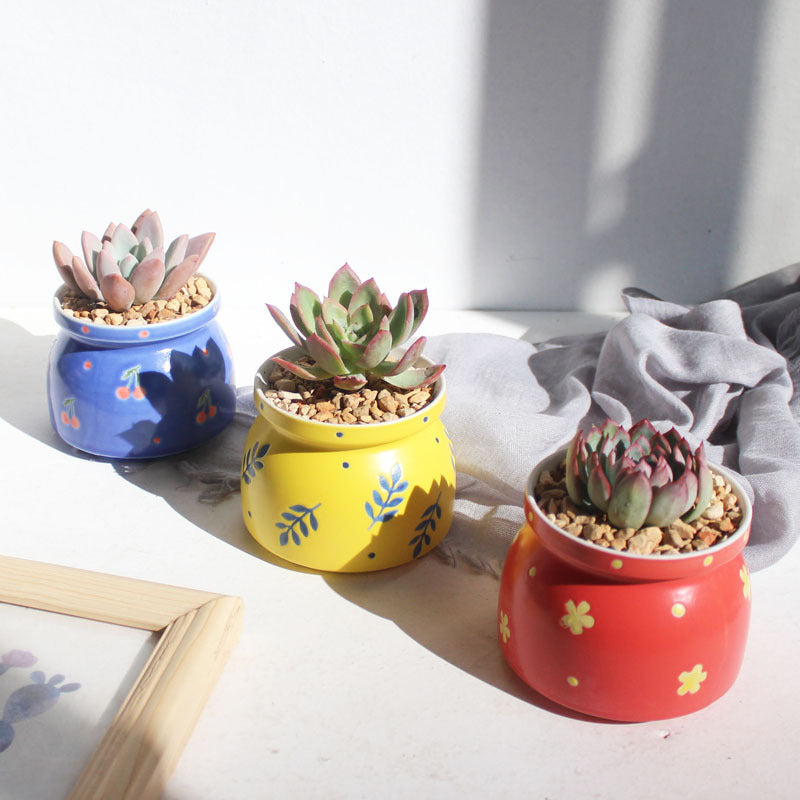 Ceramic Printed Hand Painted Succulent Flower Pots