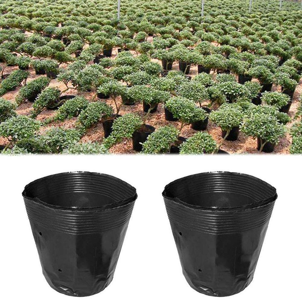 Plastic Planting Flowers In Nursery Pots Cultivating Thickening