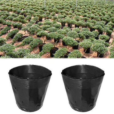 Plastic Planting Flowers In Nursery Pots Cultivating Thickening