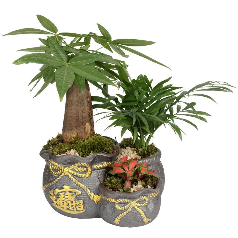 Ceramic Black Purple Sand Orchid Pots Plant Indoor