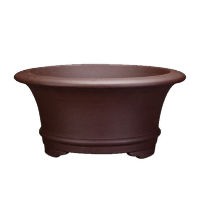 Living Room Interior Gardening Purple Sand Orchid Pots