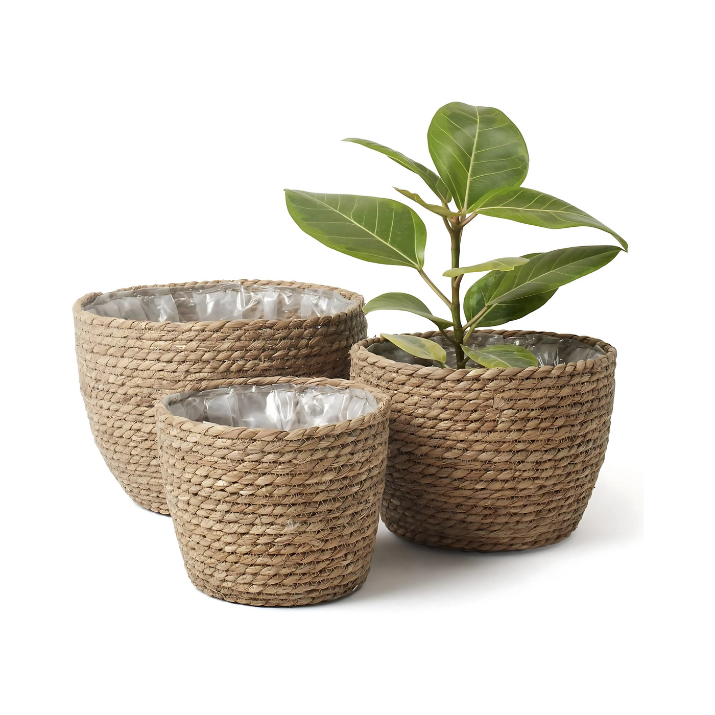 Flower Cover Pot In The Music Sigas Planter Basket Indoor Plant Container