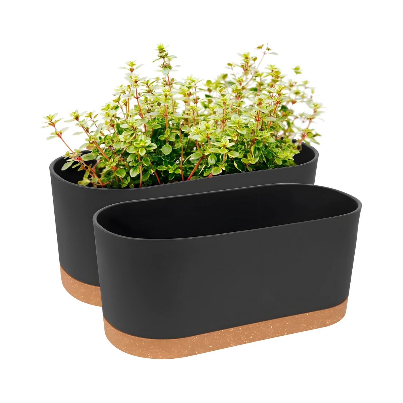 Modern Window Planter Boxes For Indoor Trees With Watering Holes Dark Grey