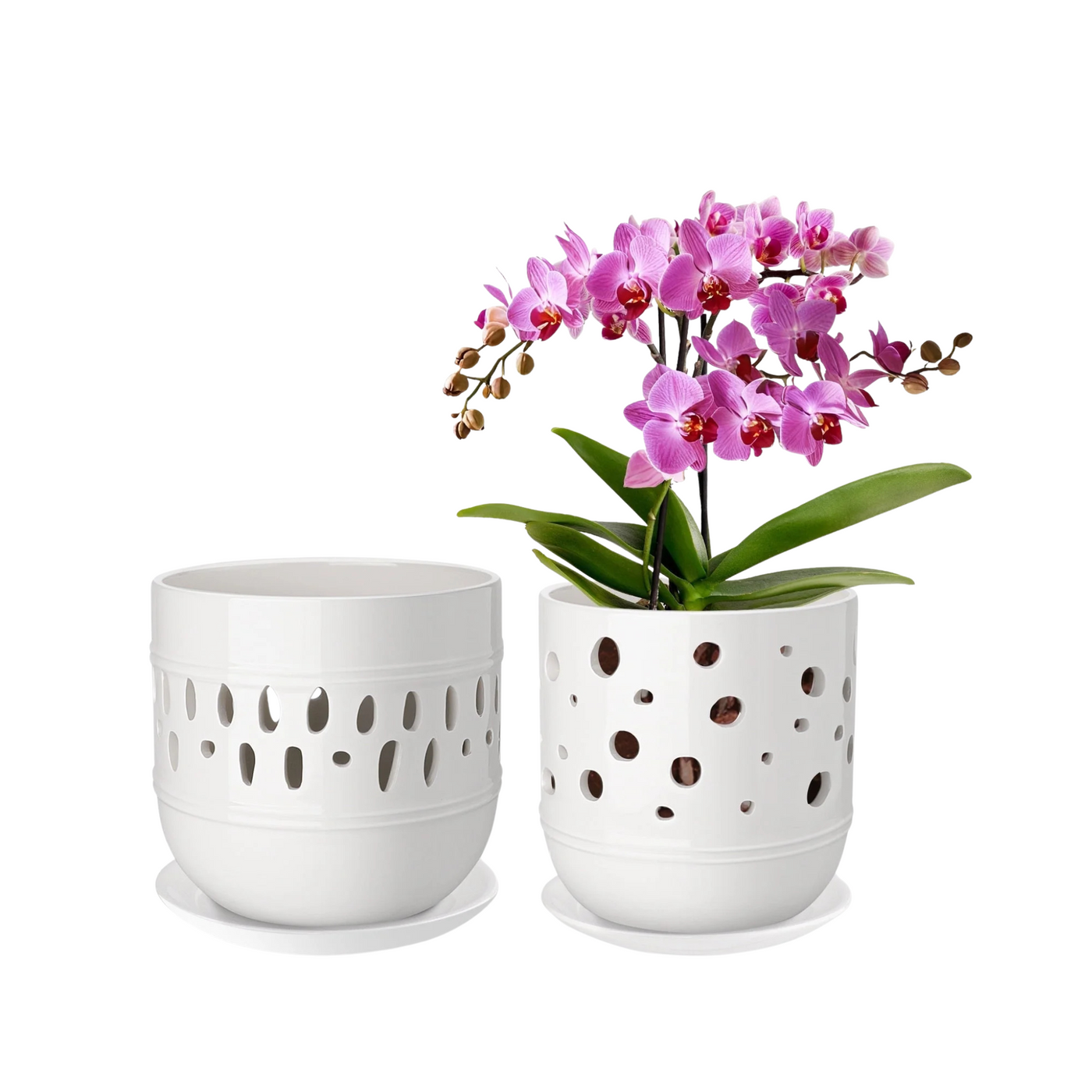 Faelan Ceramic Orchid Pots with Drainage, 5+6 Inch, White, 2-Pack