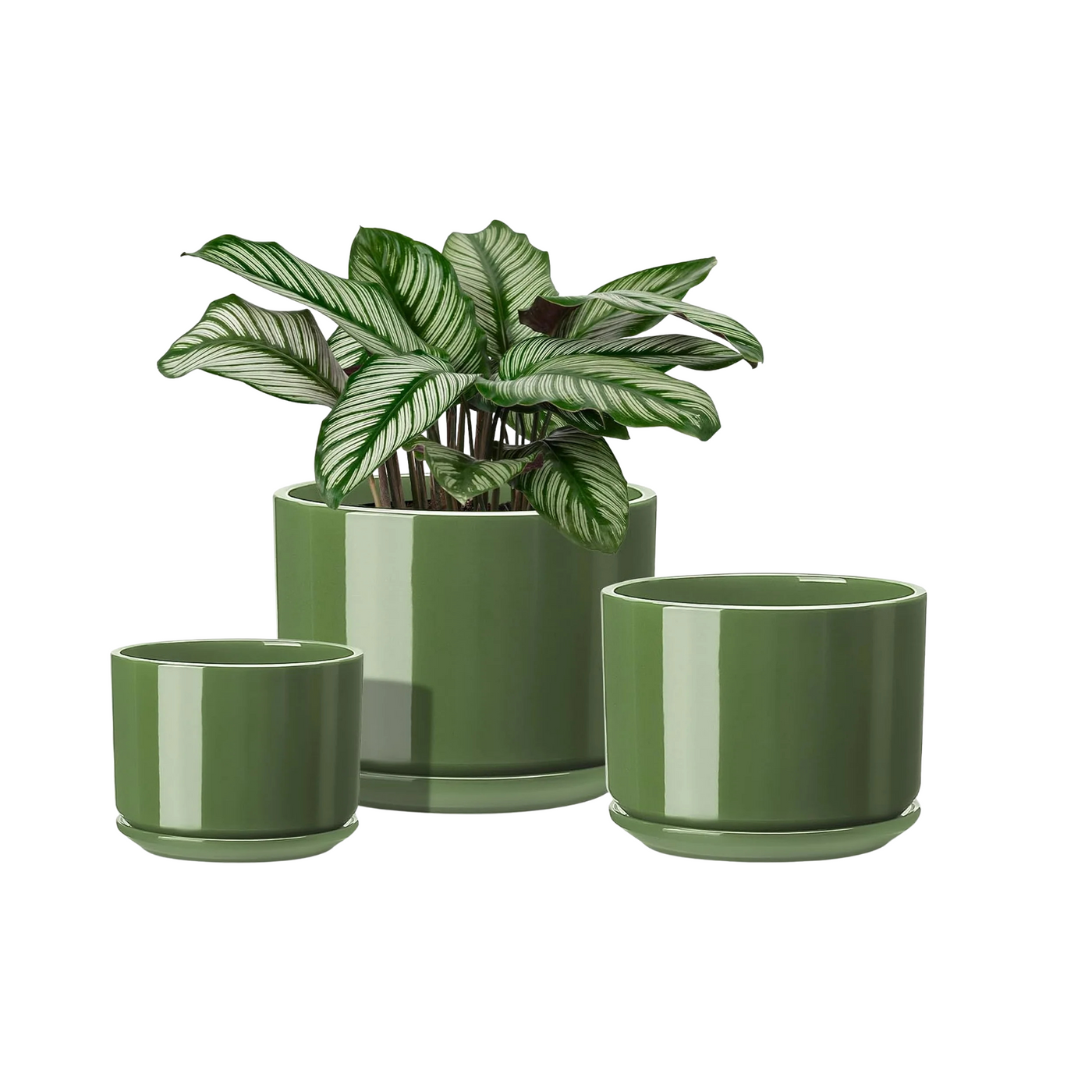 Faelan Ceramic Plant Pots, 4+5+6 Inch Pots for Indoor Plants