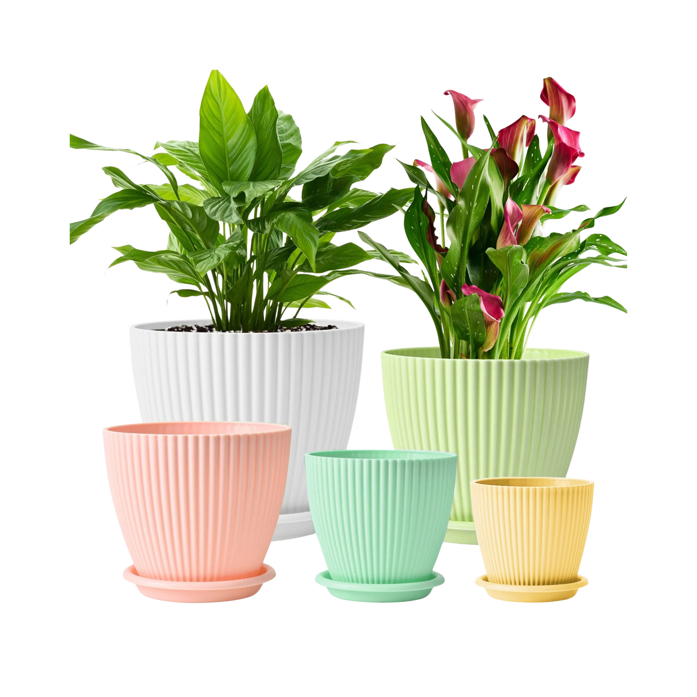Faelan 5-Pack Plastic Plant Pots with Drainage Holes and Saucer Trays
