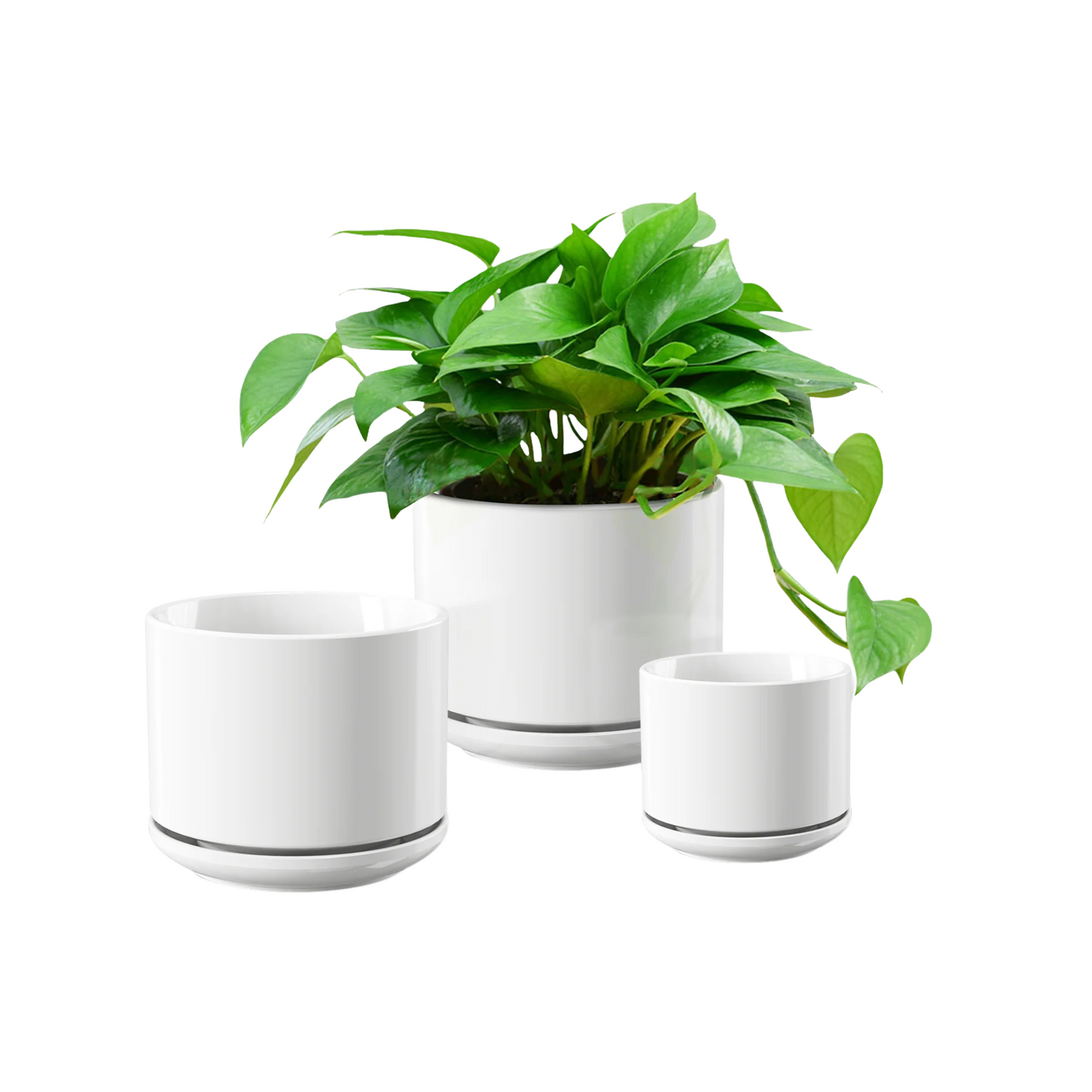 Faelan  Set of 3 Ceramic Plant Pots with Drainage Hole & Saucer