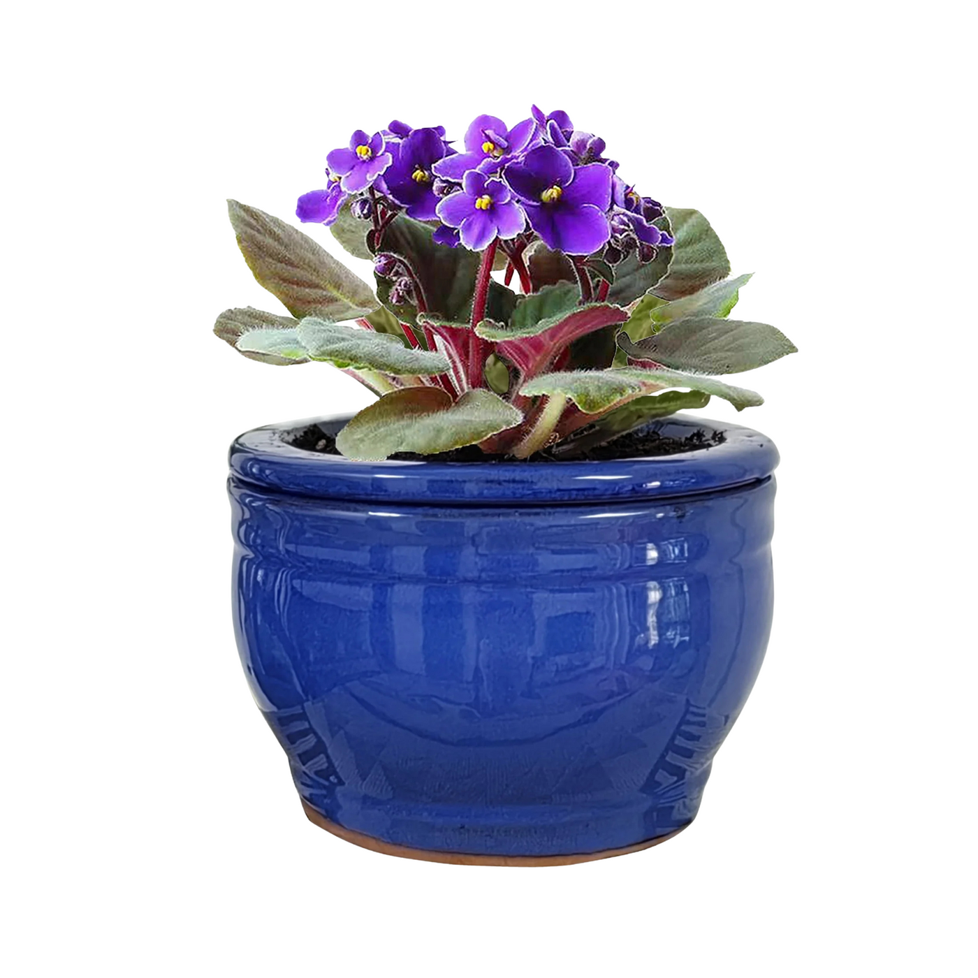 Faelan African Violet Pots 6 inch Ceramic Self Watering Pots Blue