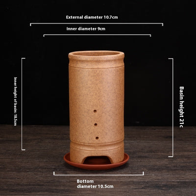 Best Firewood Purple and Sand Orchid Pots Planters