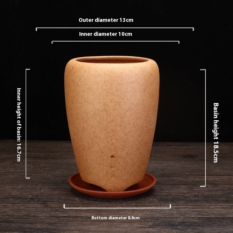 Best Firewood Purple and Sand Orchid Pots Planters