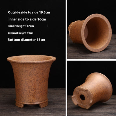Best Firewood Purple and Sand Orchid Pots Planters