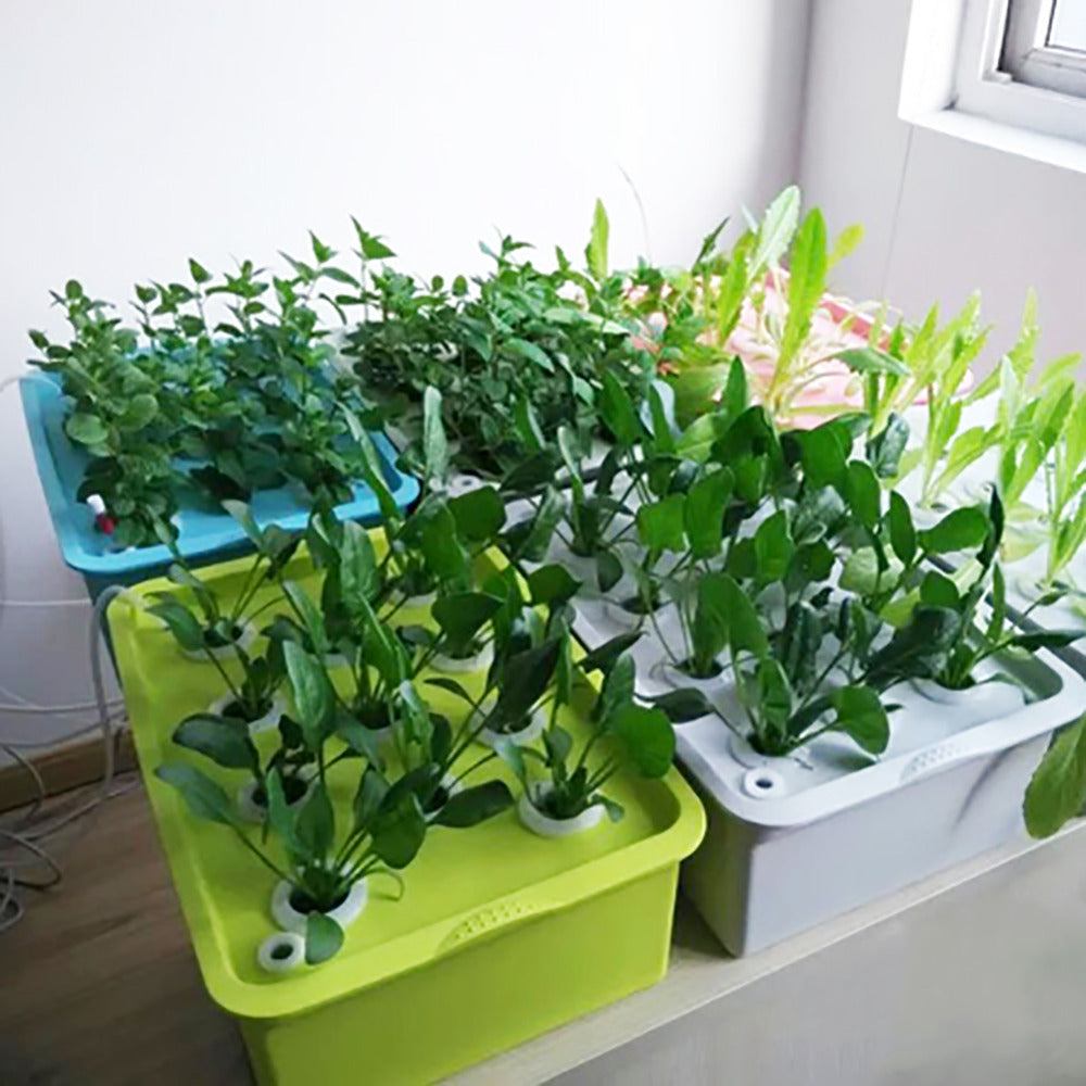 Plant Site Hydroponic Kit Garden Pots Planters