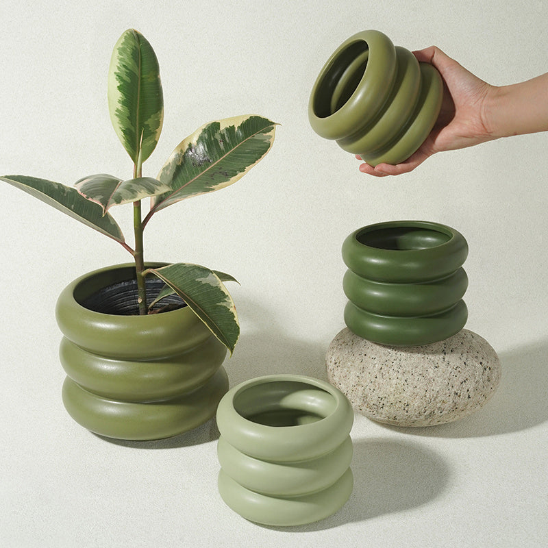 Household Succulent Green Plants Green Sill Potted Flower Pots