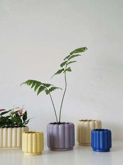 Biscuit Design Ceramic Planter Pot