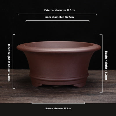 Living Room Interior Gardening Purple Sand Orchid Pots