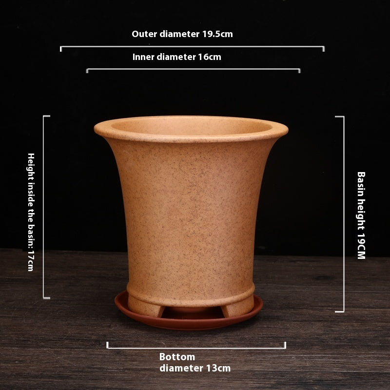 Best Firewood Purple and Sand Orchid Pots Planters