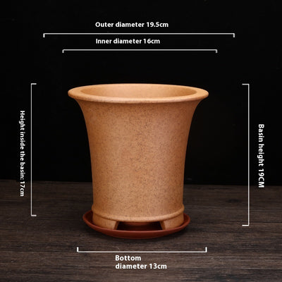 Best Firewood Purple and Sand Orchid Pots Planters