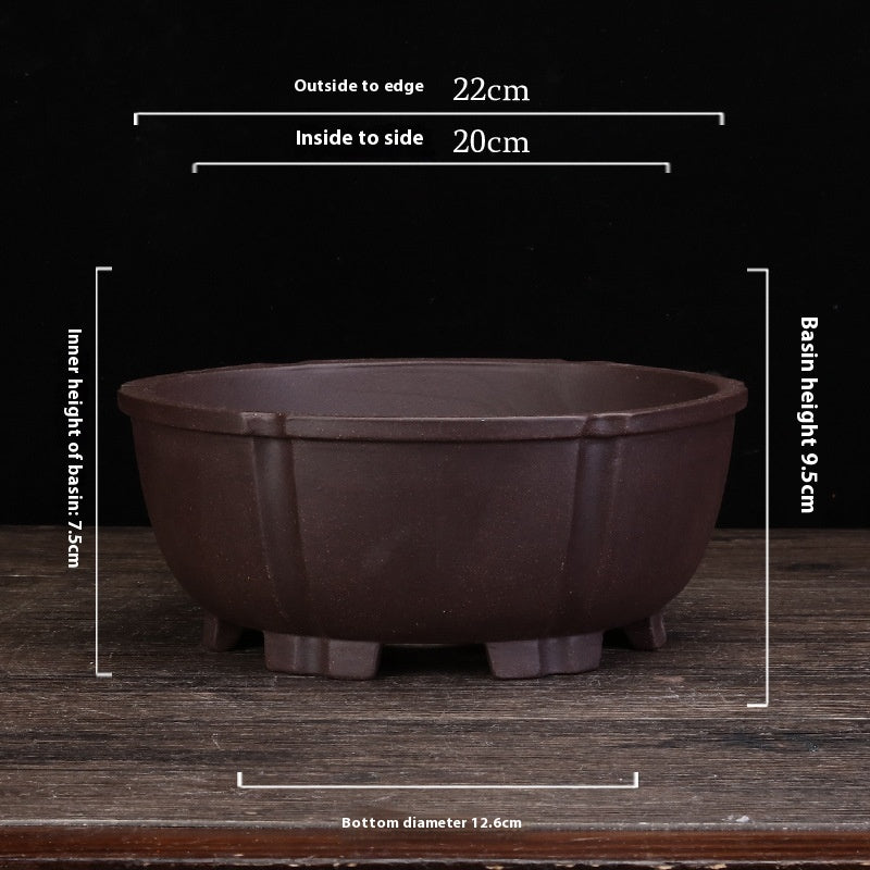 Purple Sand Orchid Pots Household Round Balcony Decoration