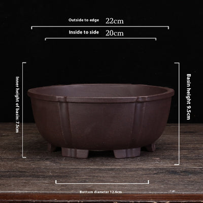 Purple Sand Orchid Pots Household Round Balcony Decoration