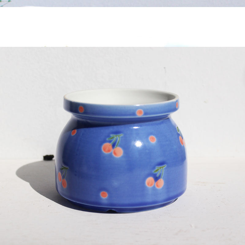 Ceramic Printed Hand Painted Succulent Flower Pots