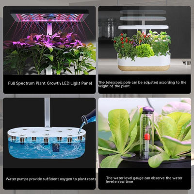 Vegetable Planter Indoor Soilless