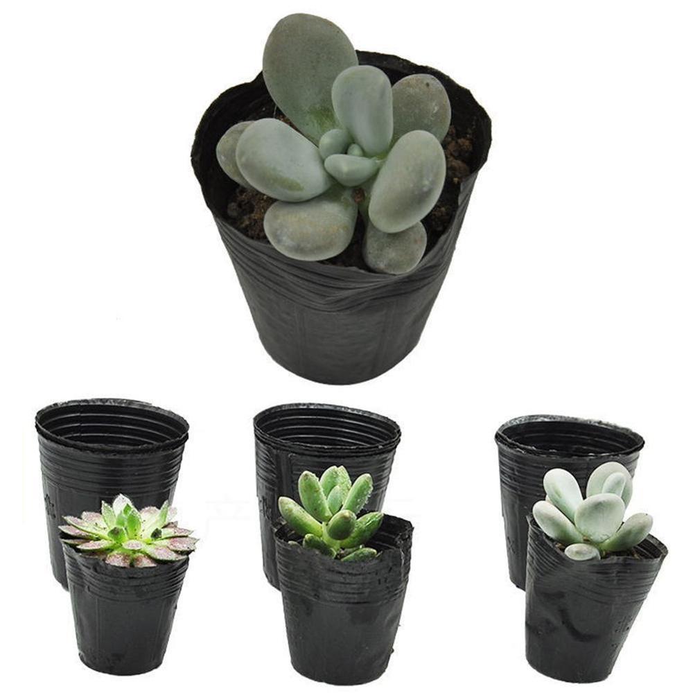 Plastic Planting Flowers In Nursery Pots Cultivating Thickening