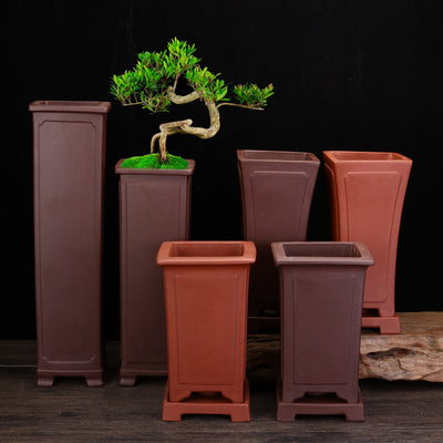 Ceramic Zisha Orchid Elegant Planters Pots Indoor