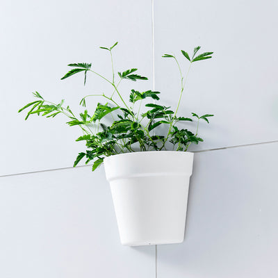 Best Wall Mounted Plastic Flower Pots